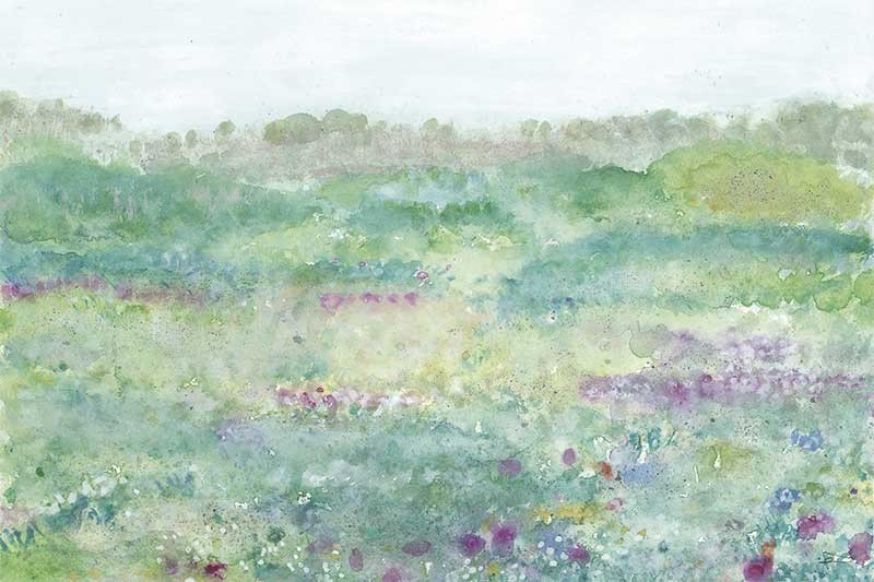Campo Florido