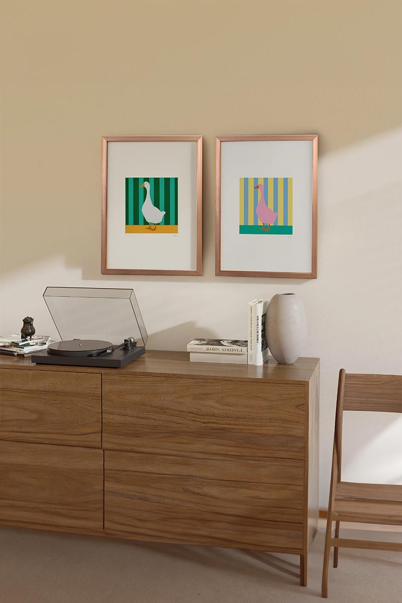 Set de 2 Cuadros Ocas