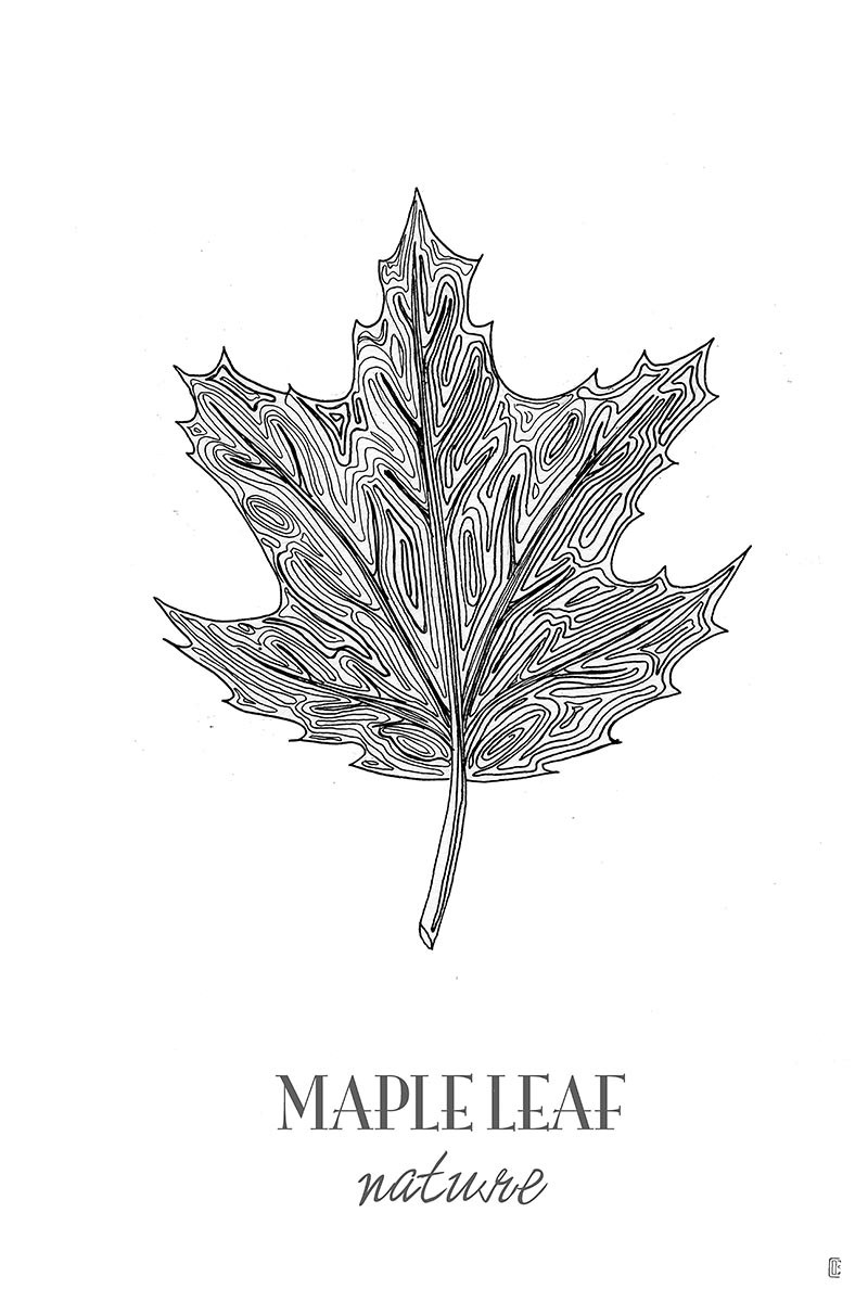 Mapple Leaf I