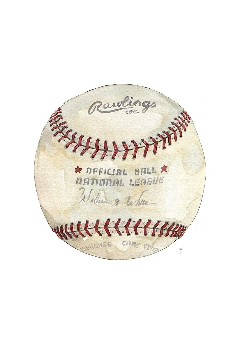 Pelota Beisbol