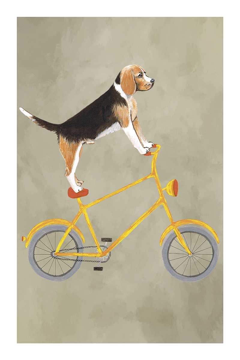 Beagle on Bicycle