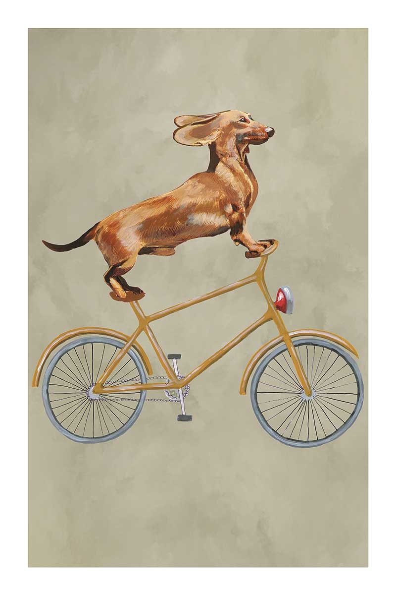 Dachshund on Bicycle