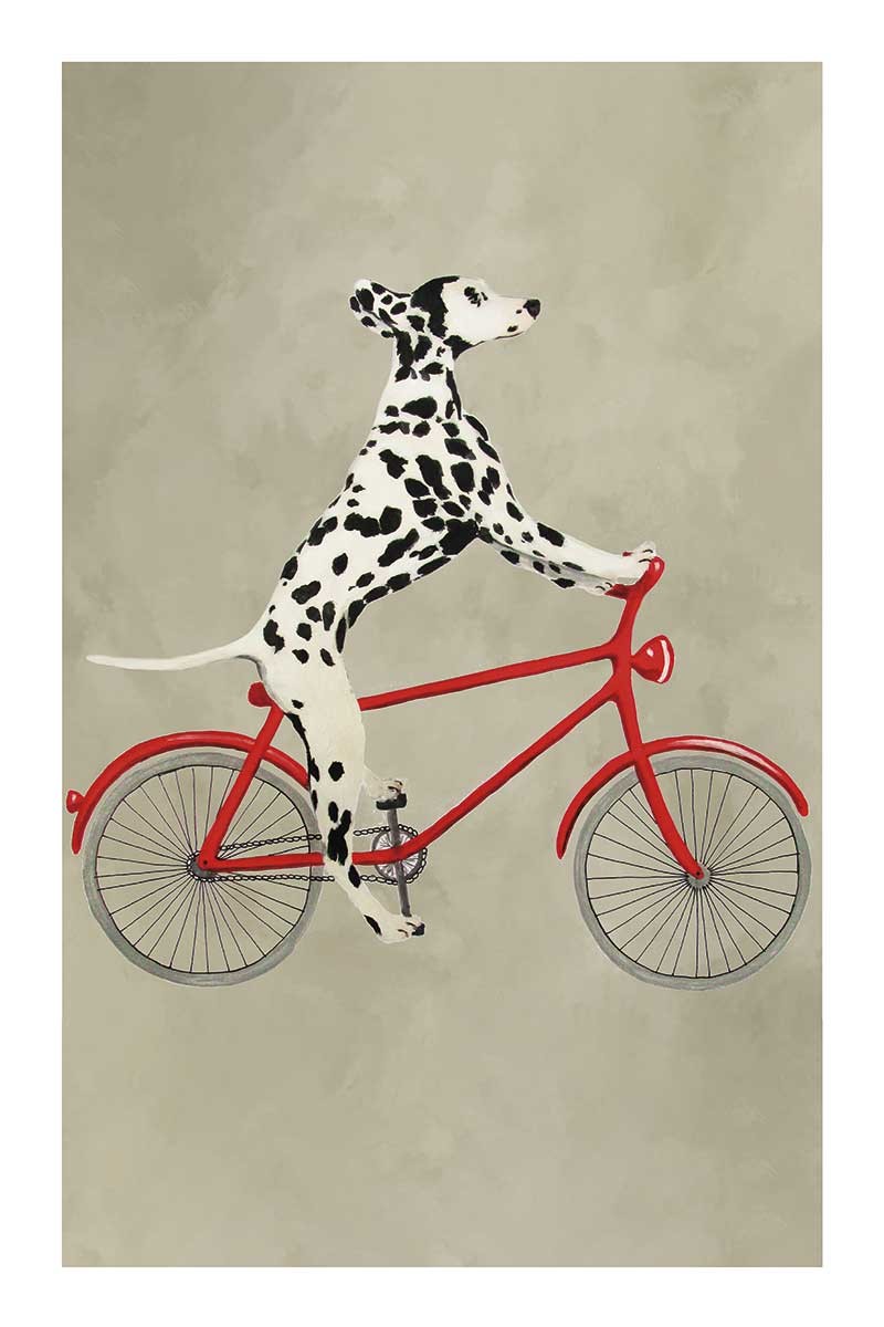 Dalmatian on Bicycle
