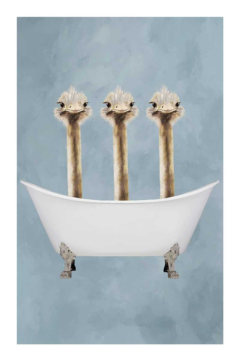 Ostriches in Bathtub