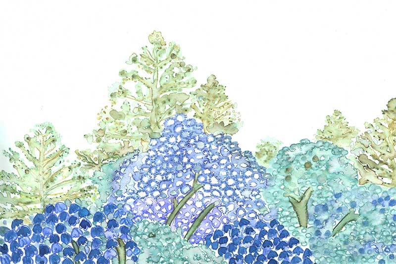 Yamanashi