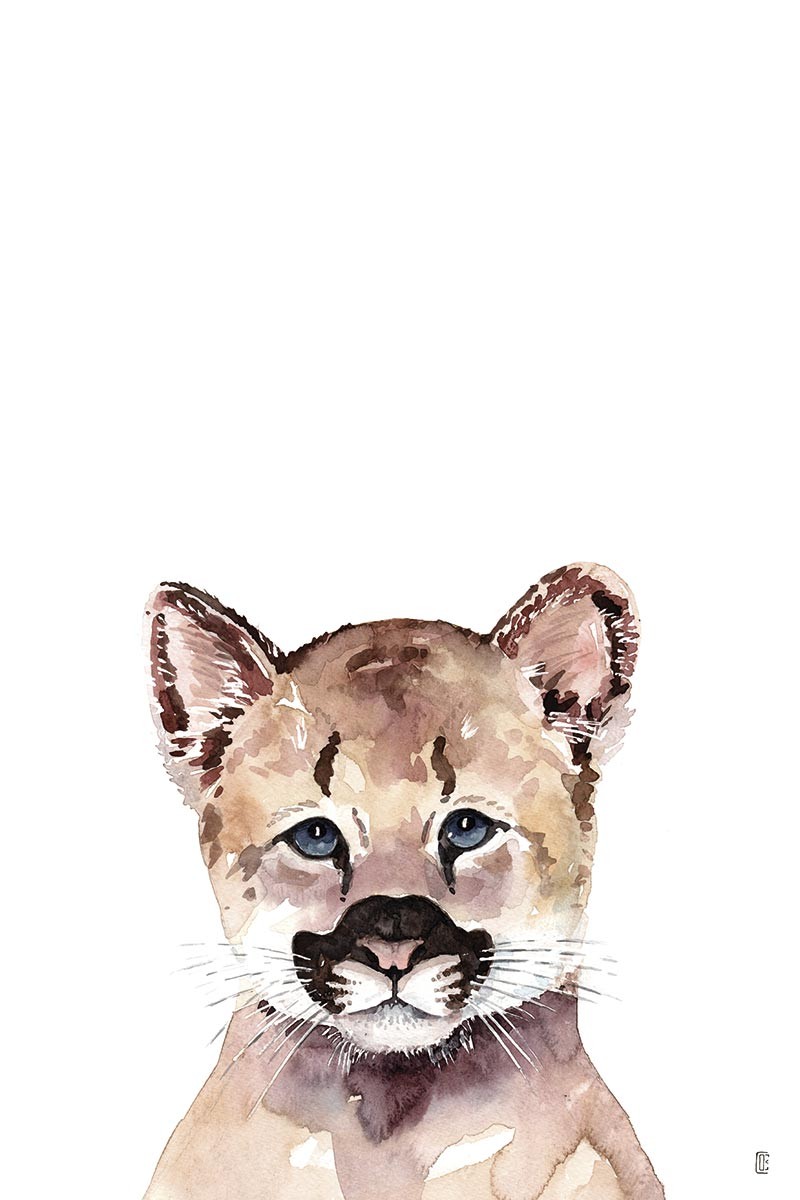 Panda Portrait