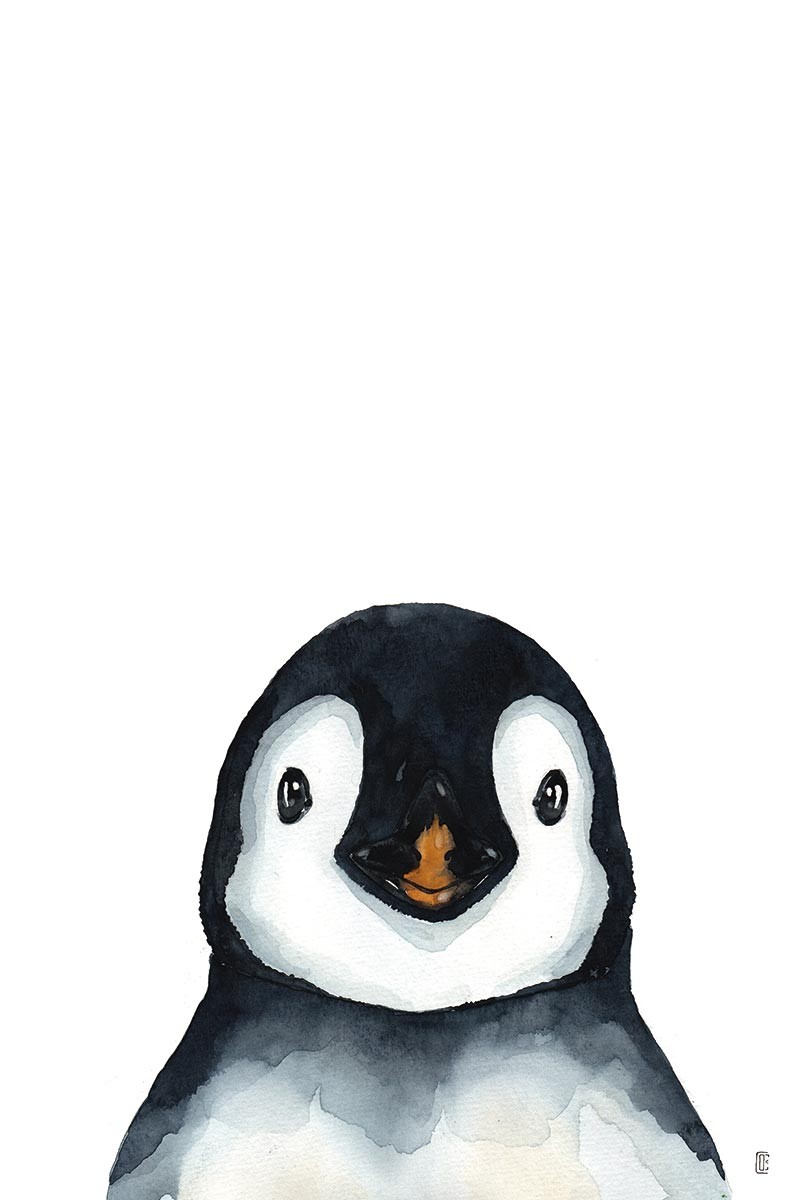 Penguin Portrait