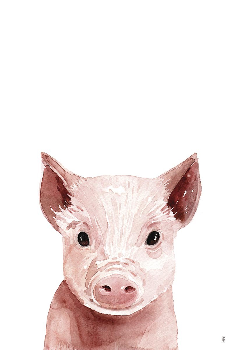 Piglet Portrait