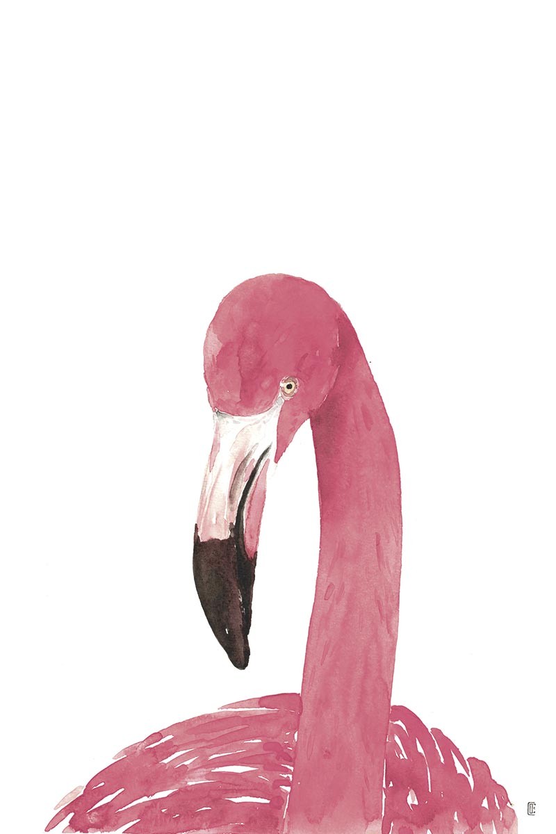 Pink Flamingo Portrait