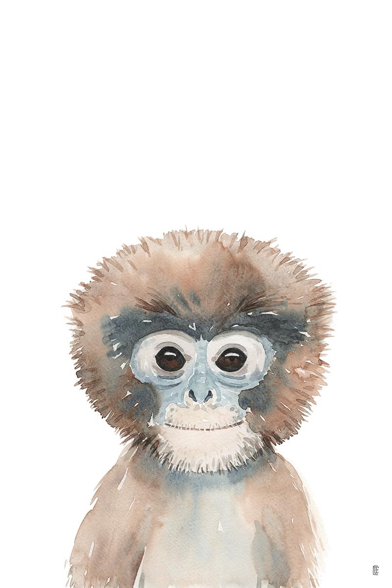 Monkey Portrait