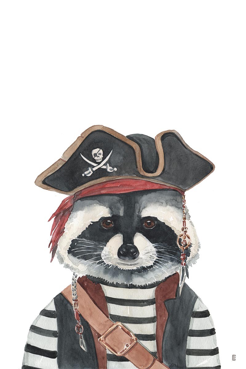 Pirate Raccoon