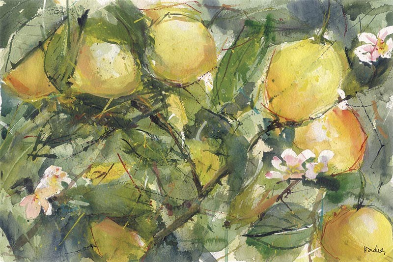 Limones