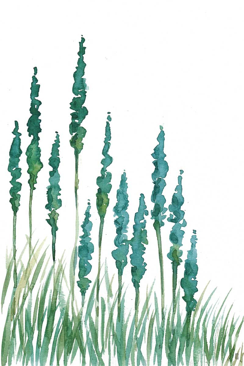 Turquoise Plant