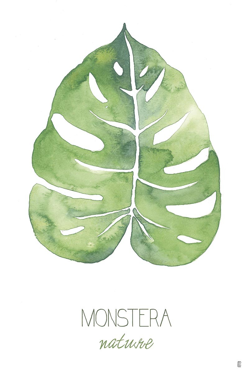 Nature Monstera