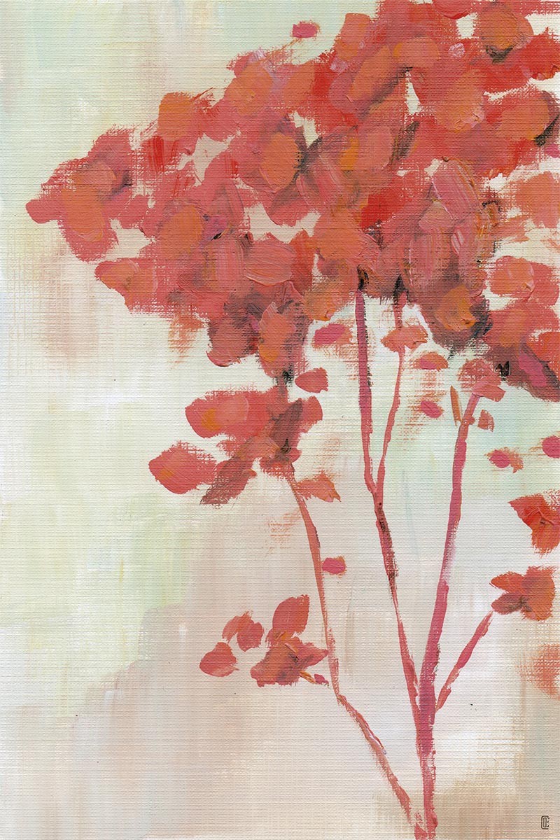 Arbol Coral