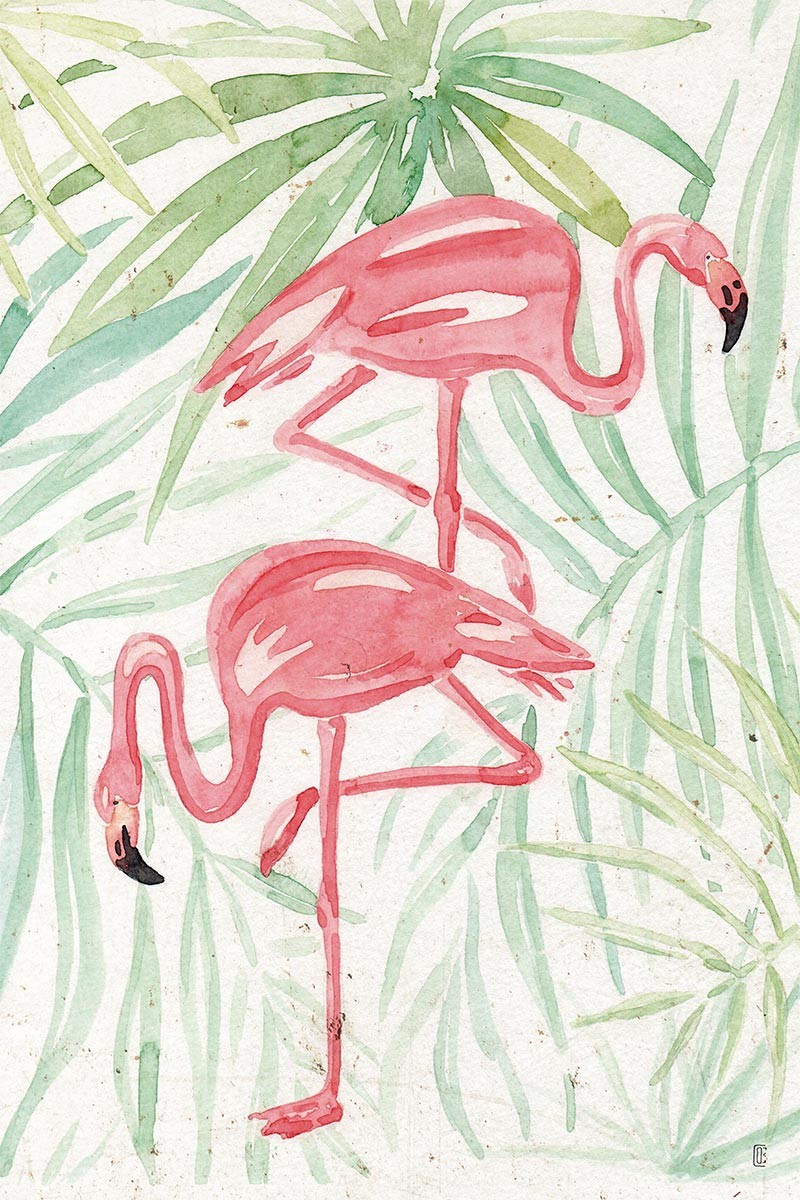 Flamingo