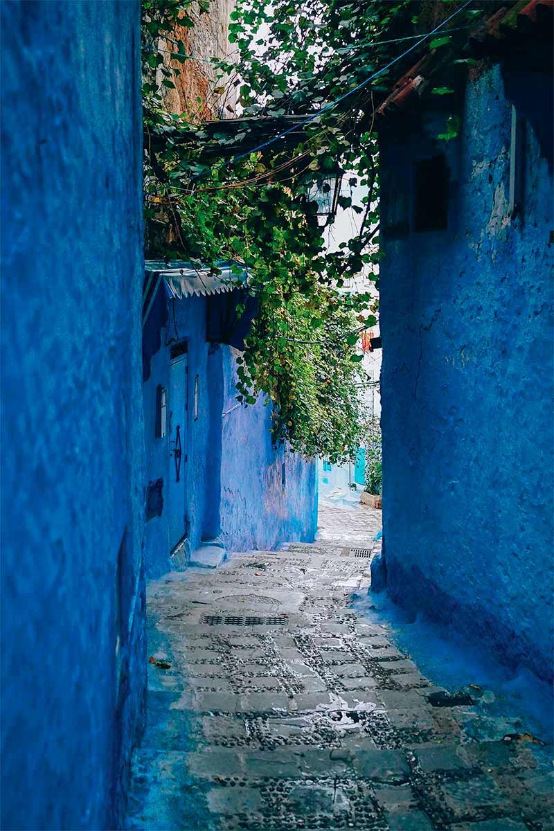 Blue Wall Alley