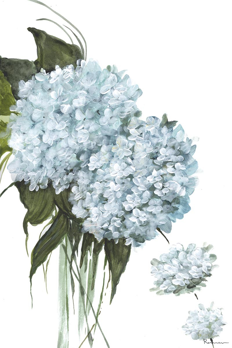 Hortensia Azul