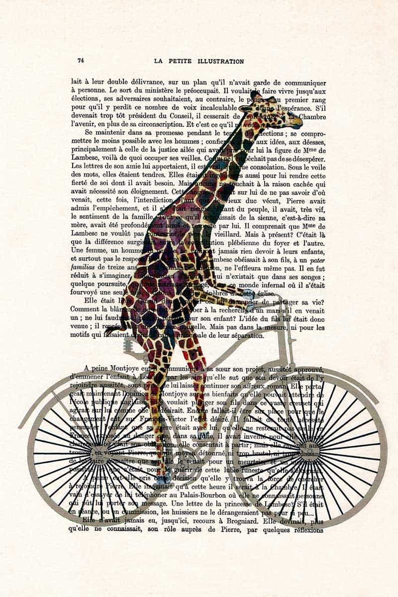 Giraffe on Bicycle