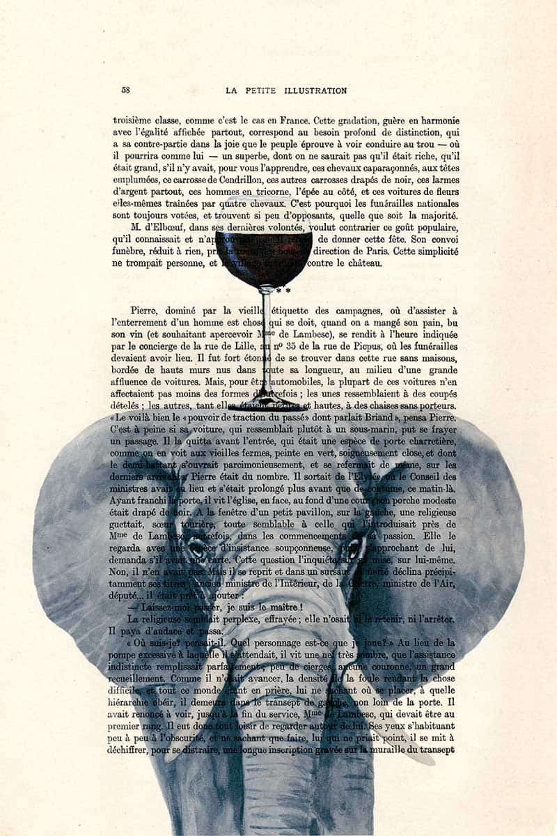 Elephant Wineglass