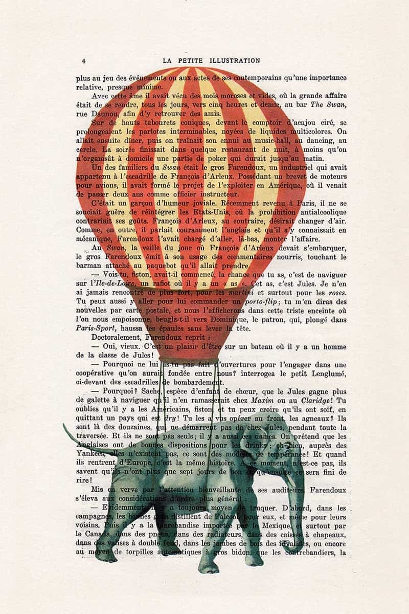 Elephant Airballoon