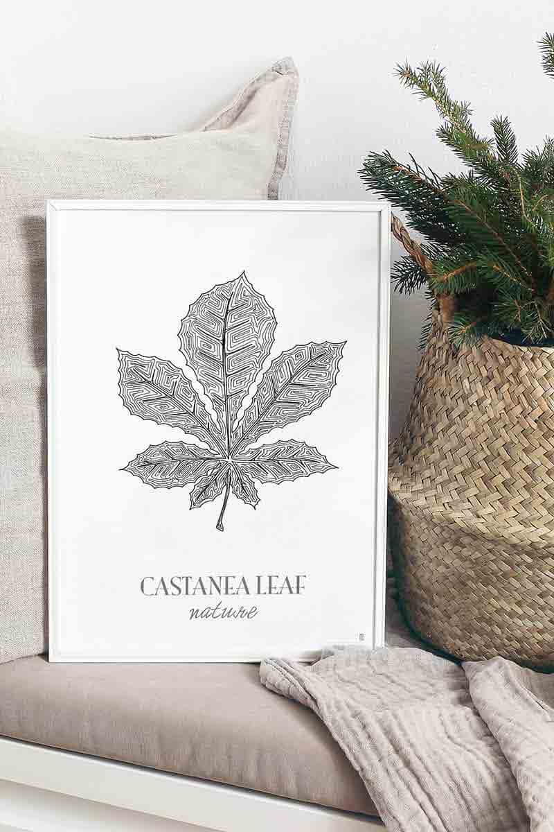Castanea Leaf 2