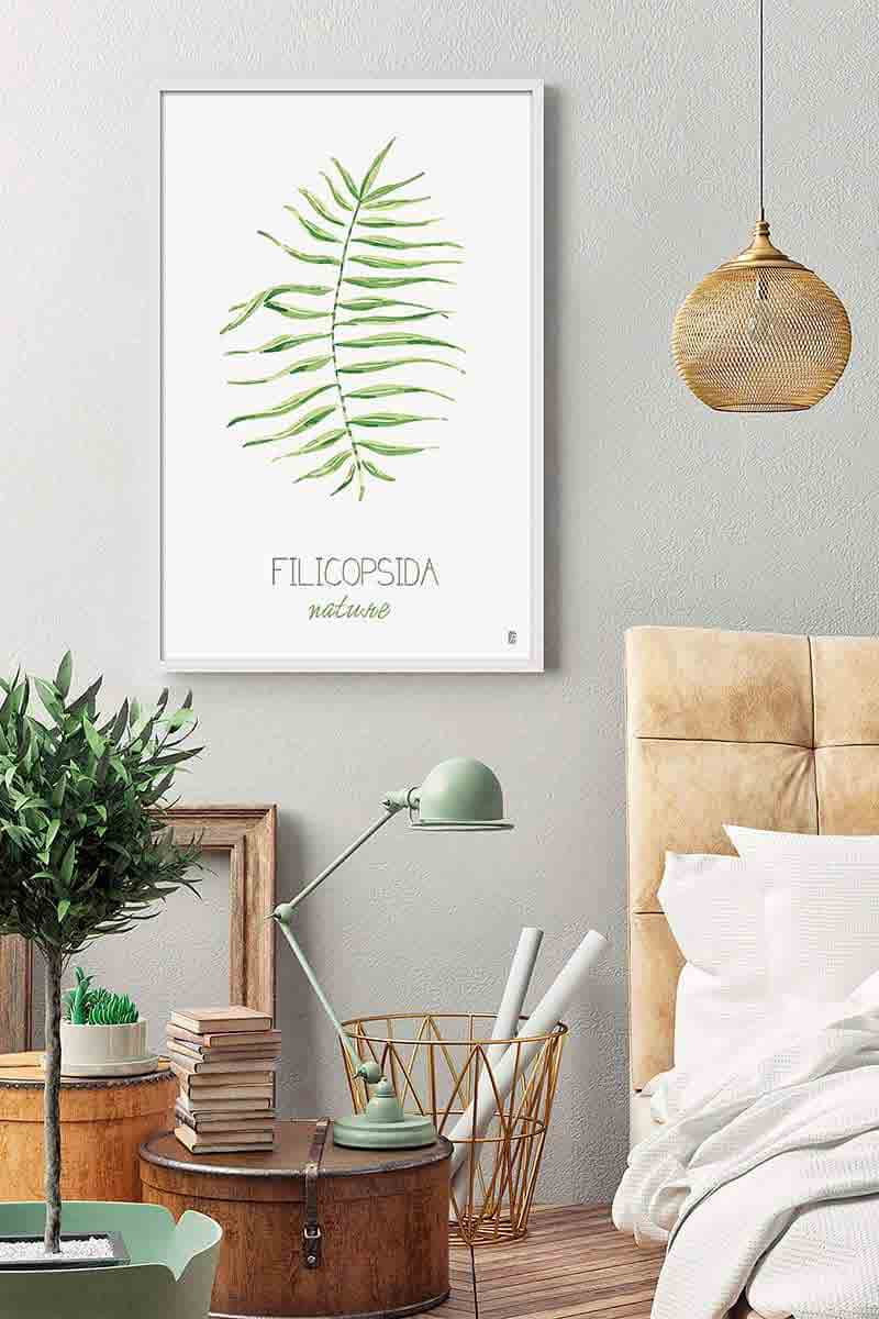 Nature Filicopsida 2