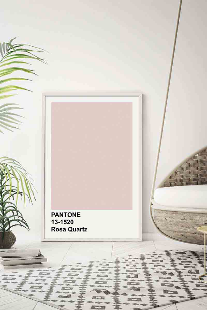 Pantone Rosa 2