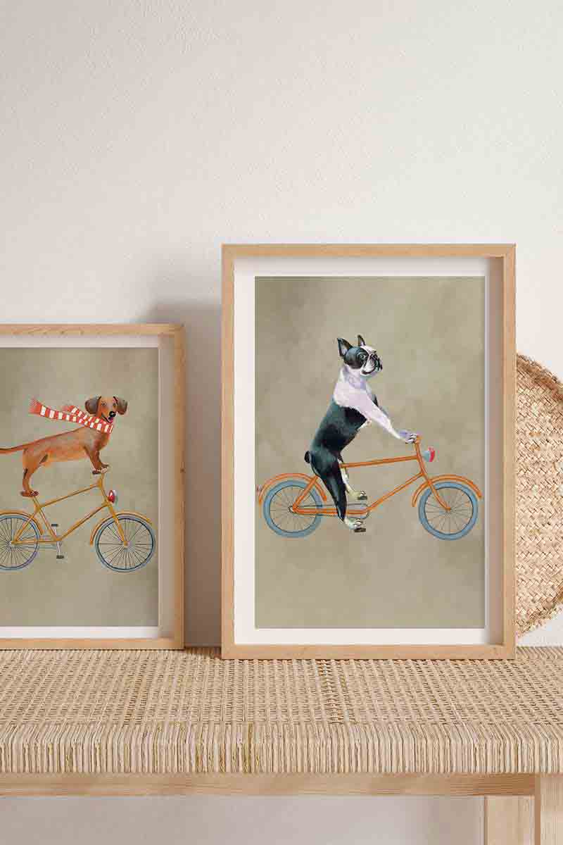 Dachshund on Bicycle 2 2