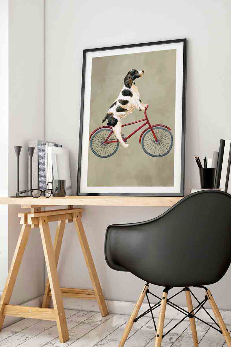 English Springer on Bicycle 2