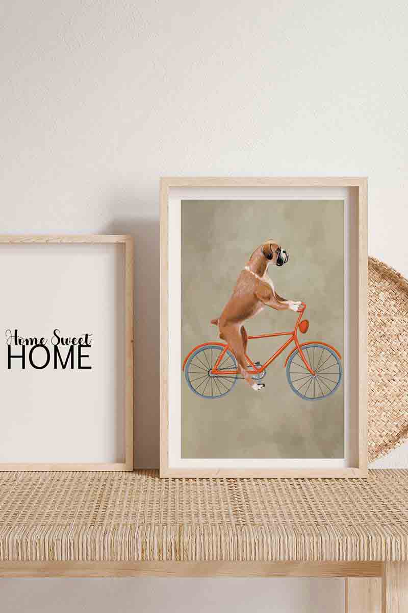 Boxer on Bicycle 2