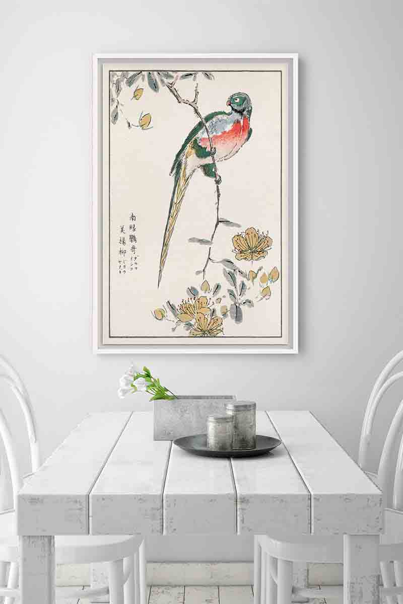 Guacamayo Japonés 2