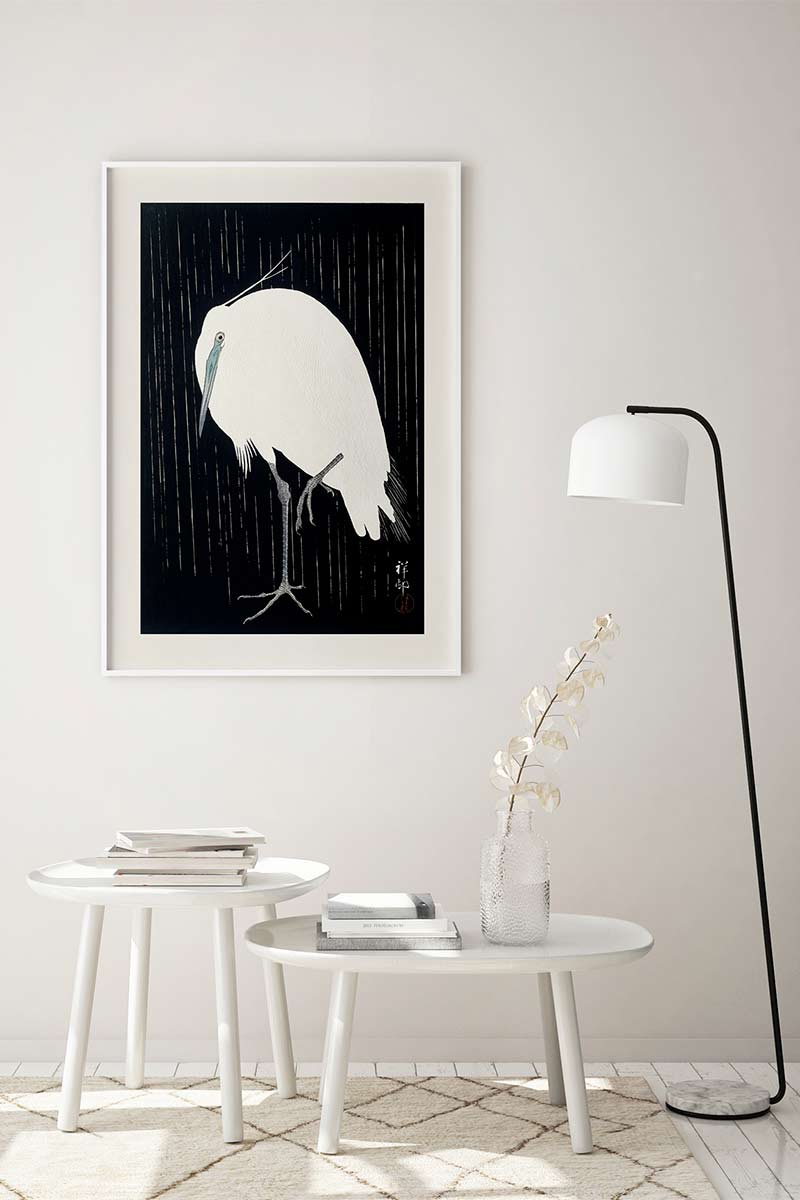 Garceta Bajo la Lluvia 2