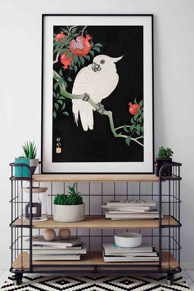 Cacatúa y Granada II 2