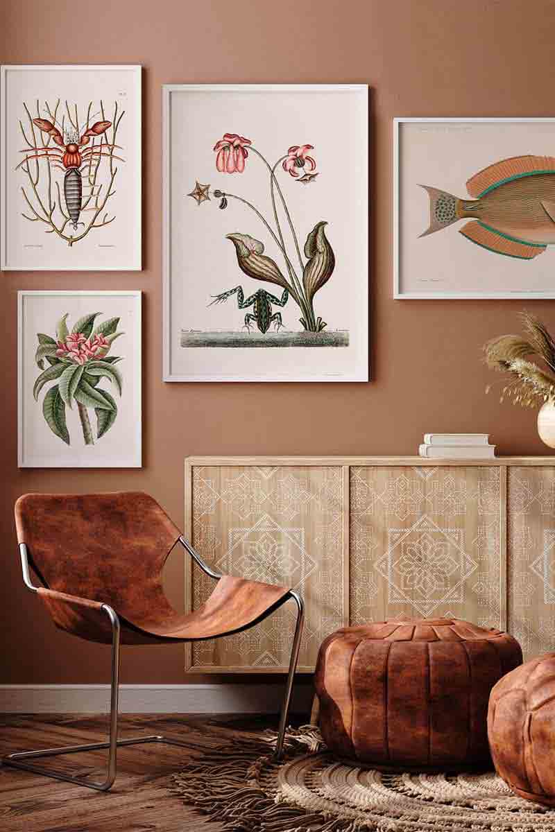 Animales y Plantas II 2