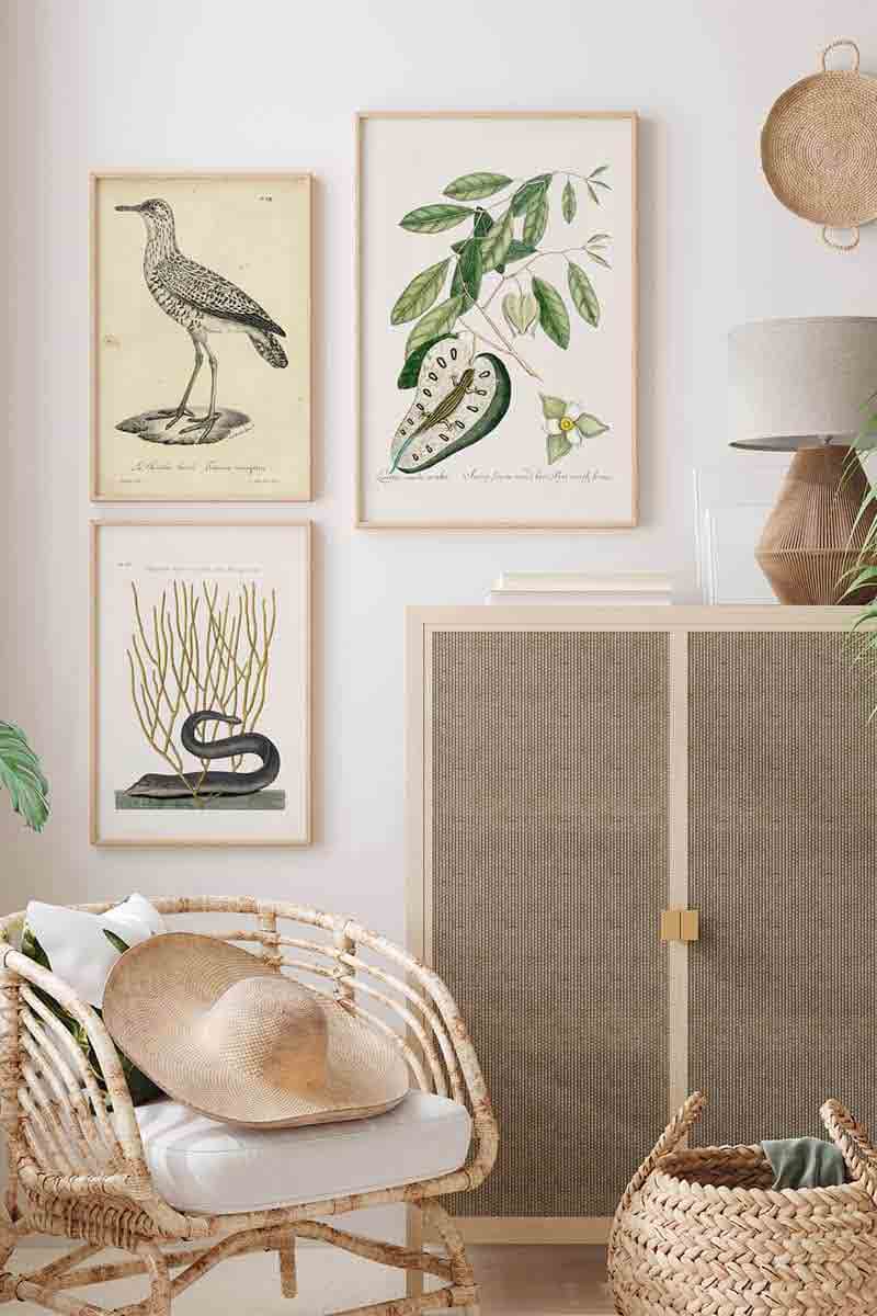 Animales y Plantas III 2