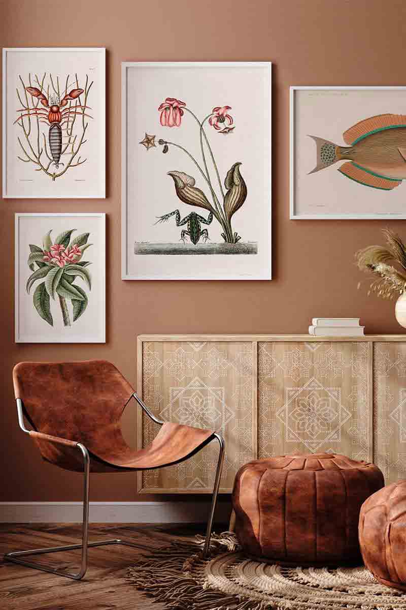 Animales y Plantas IV 2