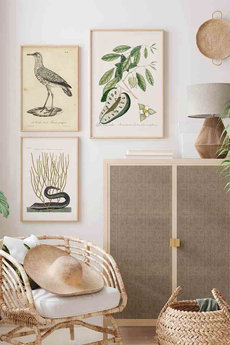 Animales y Plantas V 2