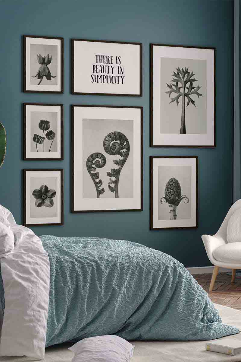 Botanica Karl VIII 2