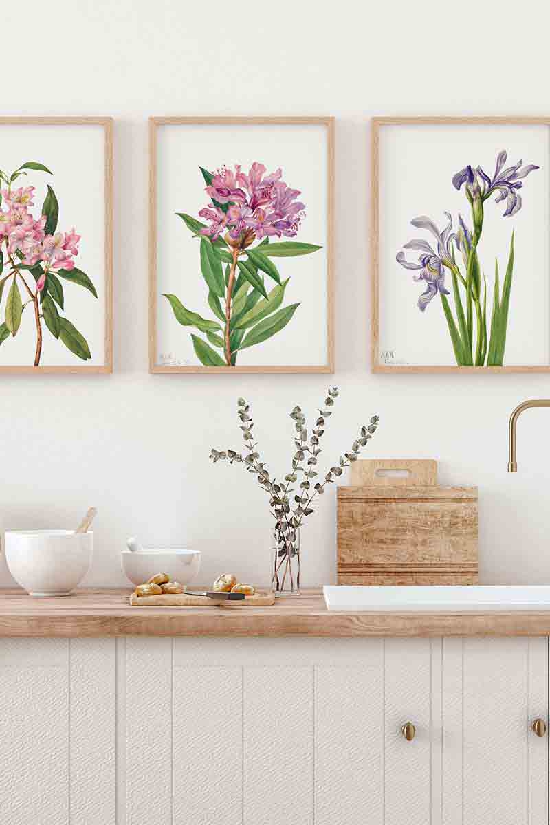 Flores Botánica IV 2