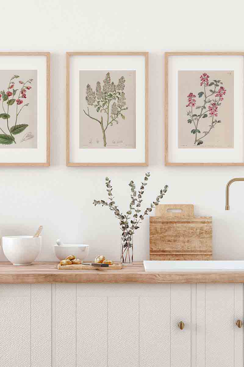 Edwards Botanical III 2