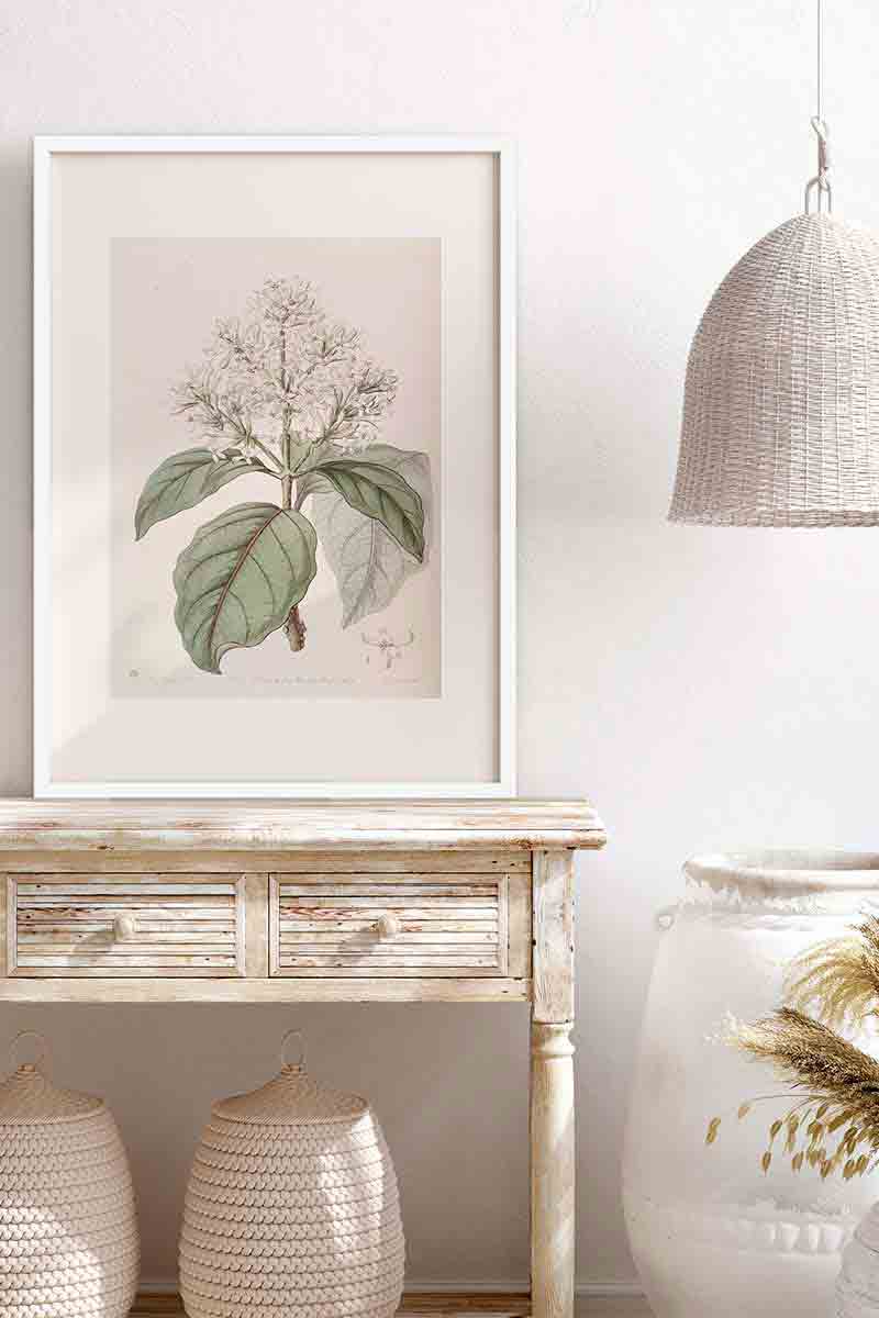 Edwards Botanical VIII 2