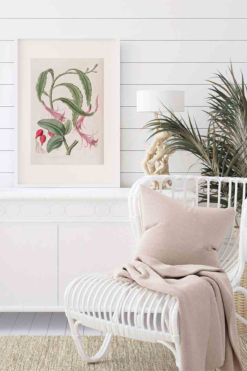 Edwards Botanical IX 2