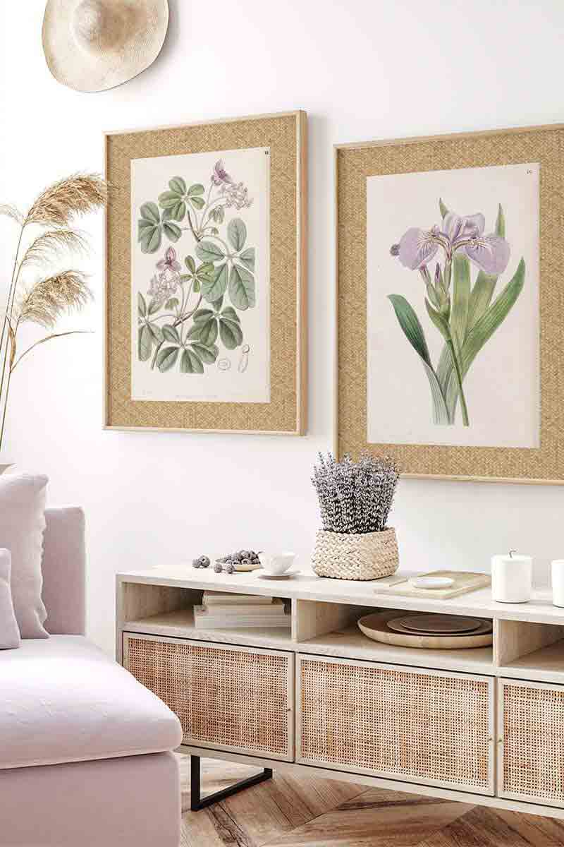 Flores Ratan Malva I 2