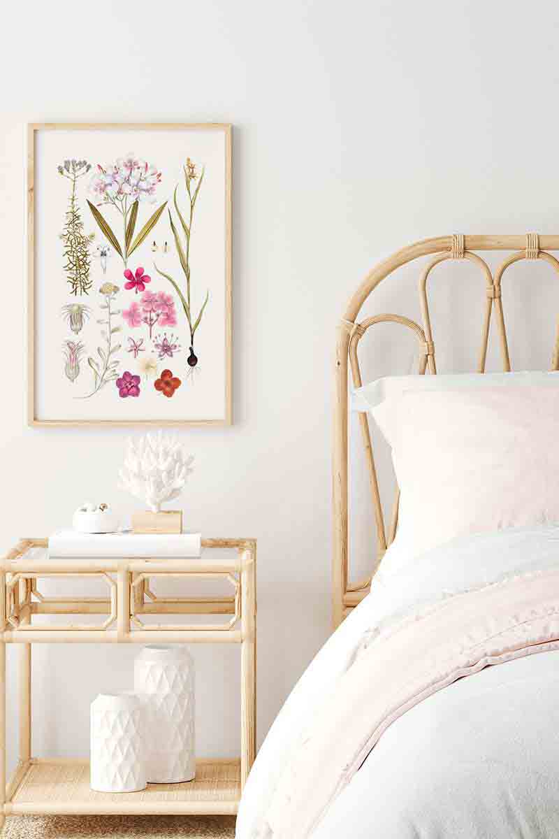 Plantas Silvestres I 2