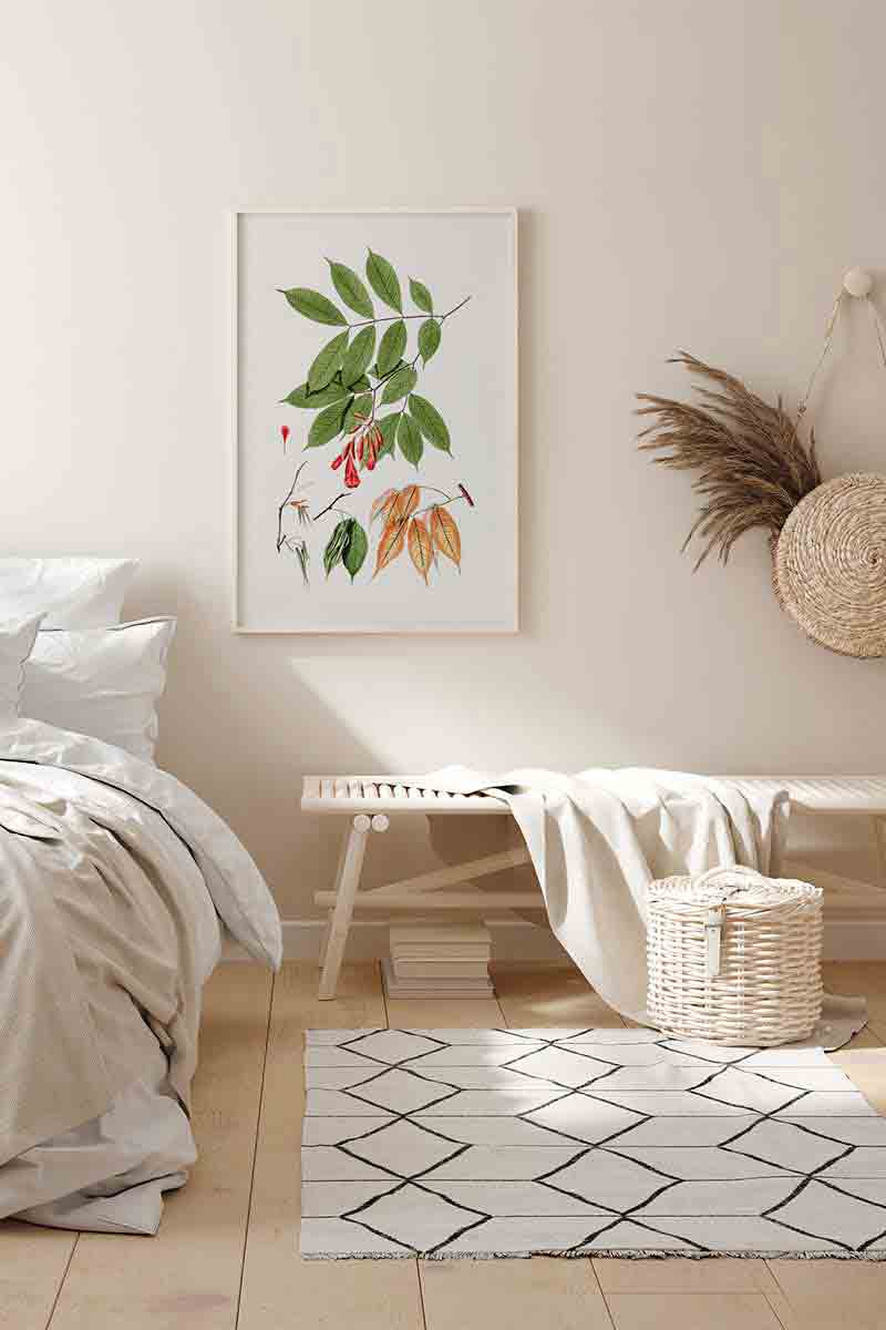 Plantas Silvestres III 2