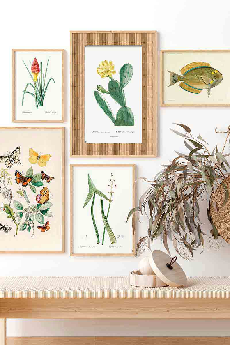 Planta Tropical IV 2