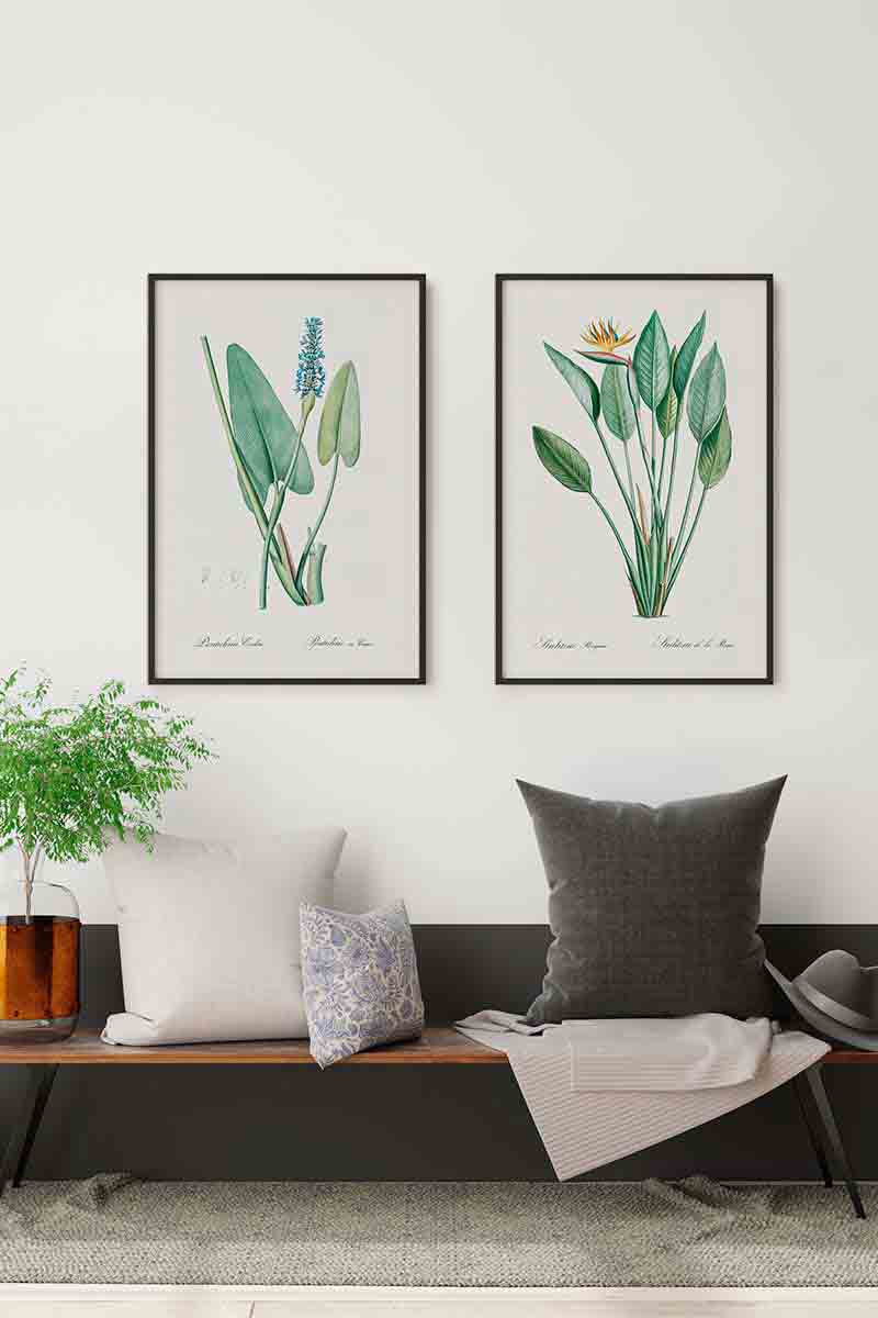 Planta Tropical VI 2