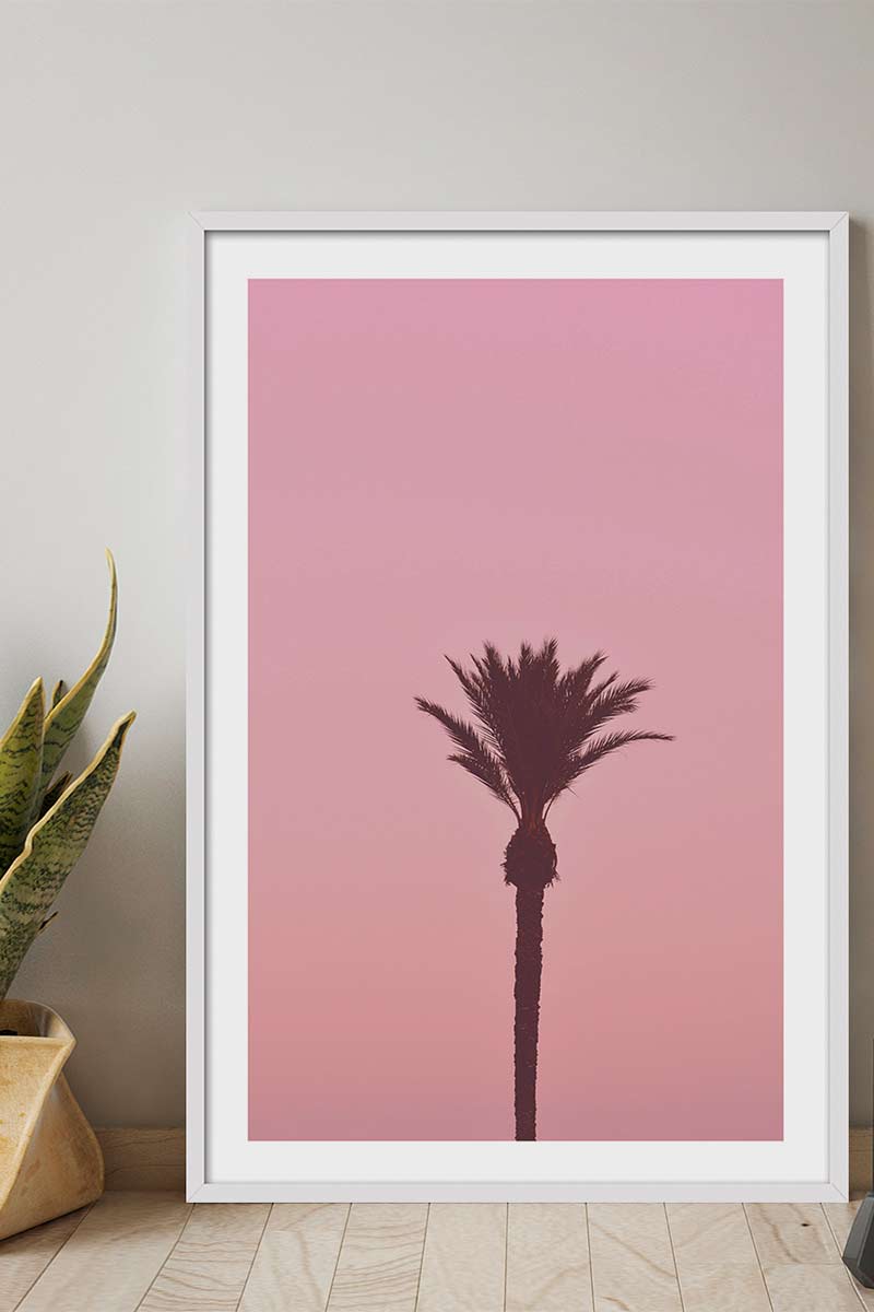 Palmera Rosa 2