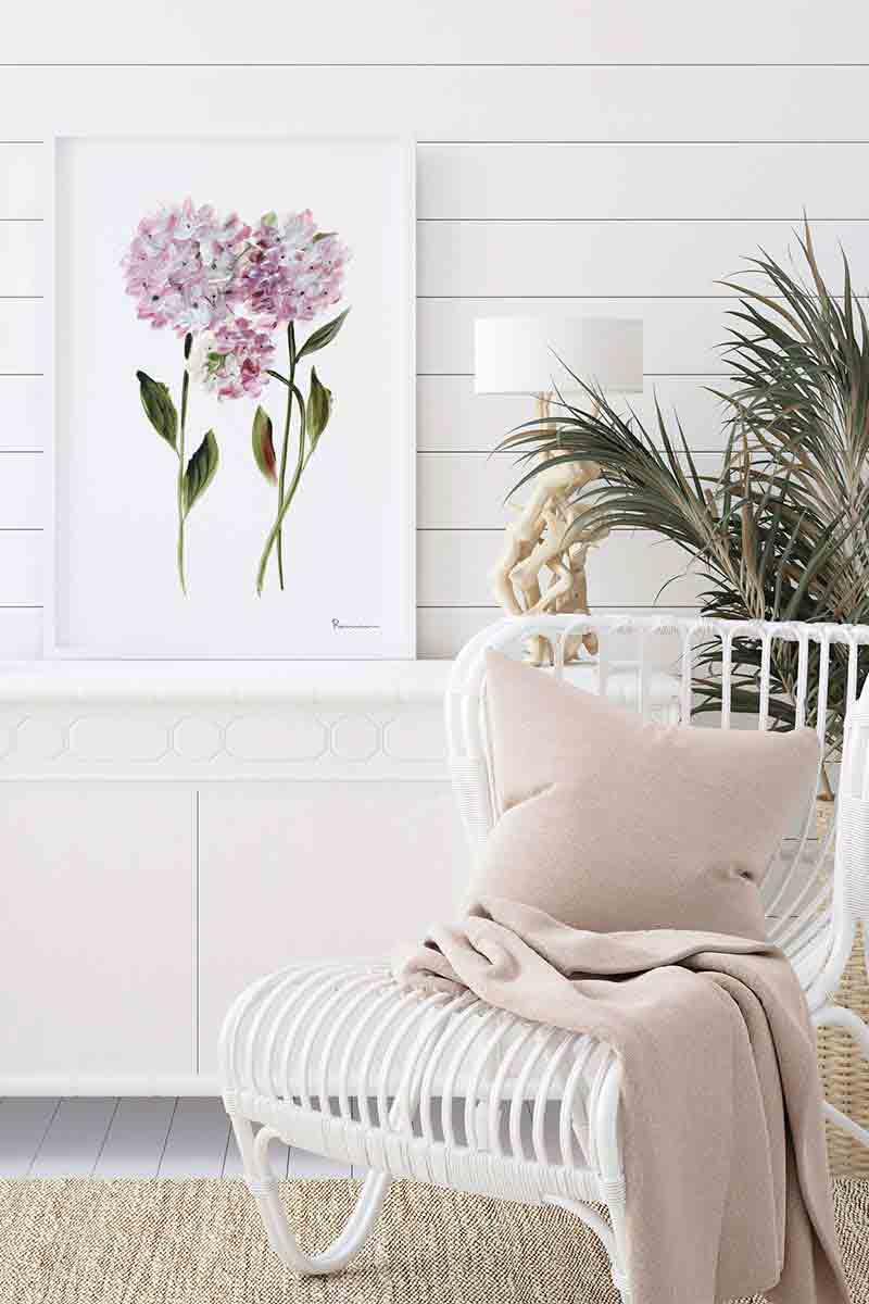 Hortensia Malva IV 2